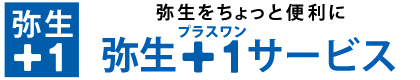 弥生コンサルティングサポート｜弥生＋１（プラスワン）サービス